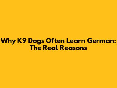 Why K9 Dogs Often Learn German: The Real Reasons
