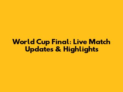 World Cup Final: Live Match Updates & Highlights